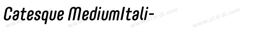 Catesque MediumItali字体转换 Catesque MediumItali字体转换